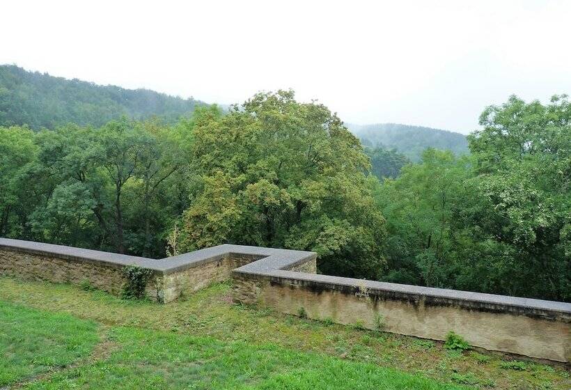 Отель Schloss Weißenburg