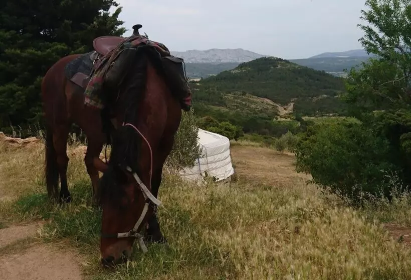 Hotelli Yourte Nature Saint Roch