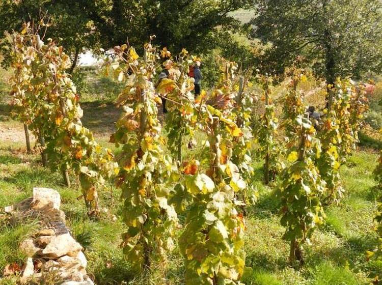 بنسيون Ferme De La Bonnefontaine