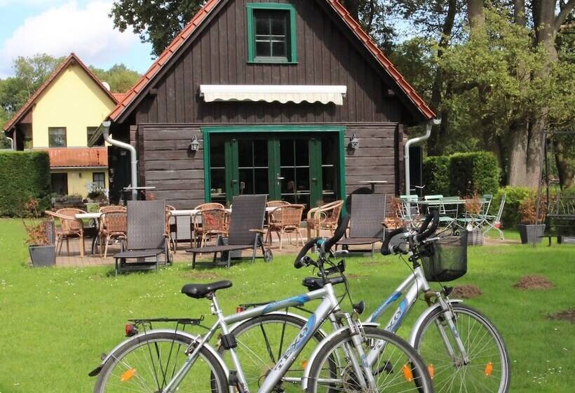 ペンション Steffi S Hafenstübchen