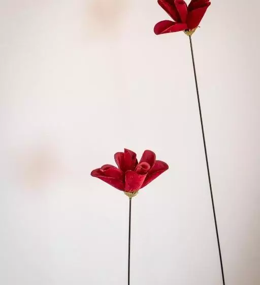 Pension Sleep In Brettach