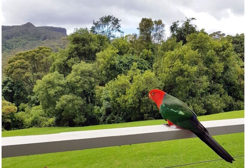 The Drawing Rooms Of Berry