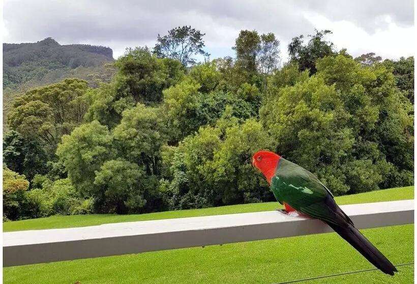 The Drawing Rooms Of Berry