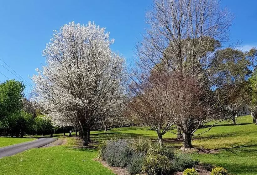 The Drawing Rooms Of Berry