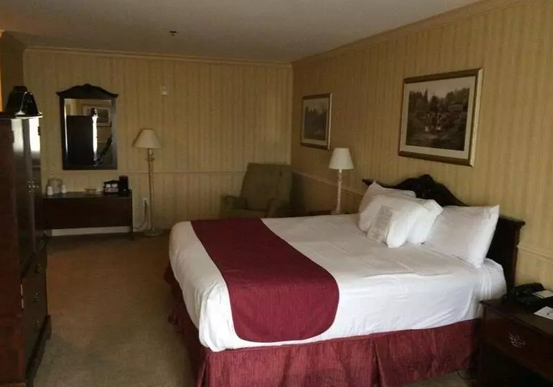 ホテル Manchester Inn & Suites