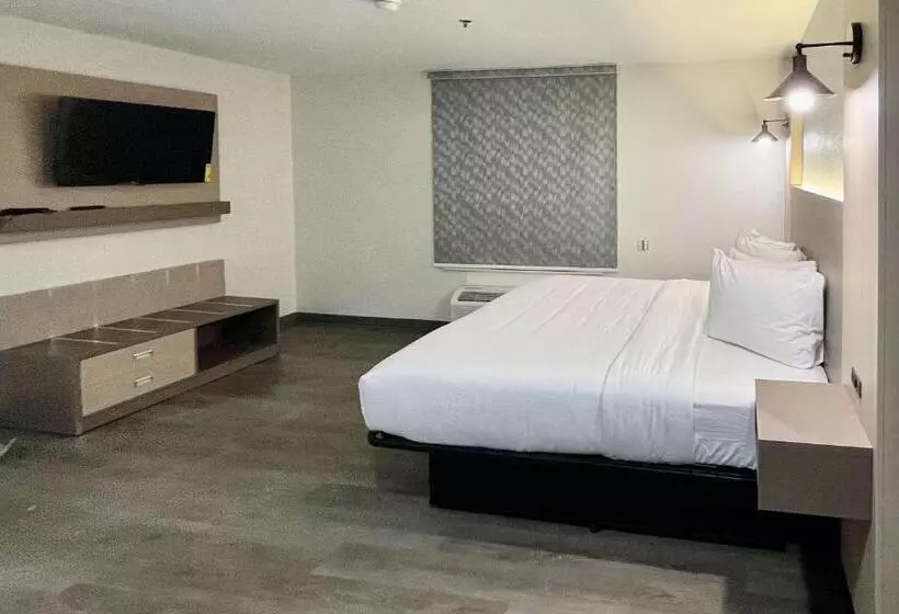 酒店 Mainstay Suites Columbia Harbison