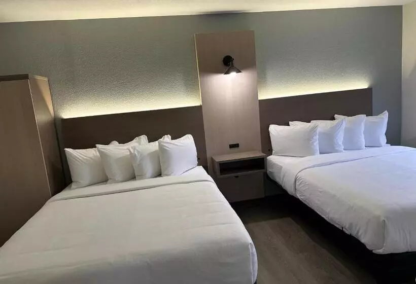 酒店 Mainstay Suites Columbia Harbison