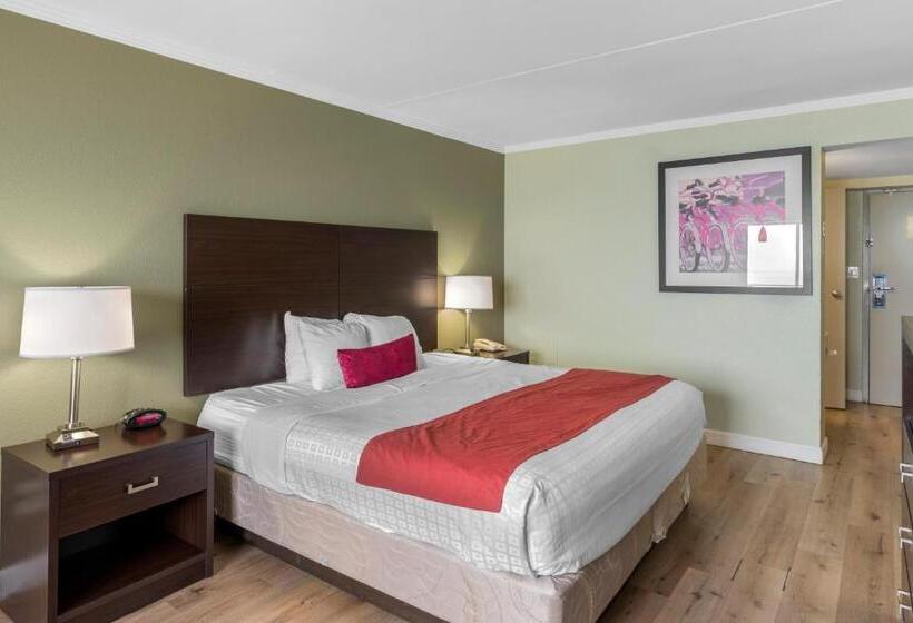 ホテル Sandcastle Resort