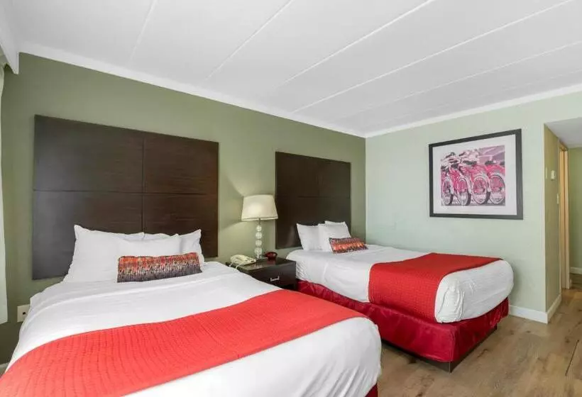 هتل Sandcastle Resort