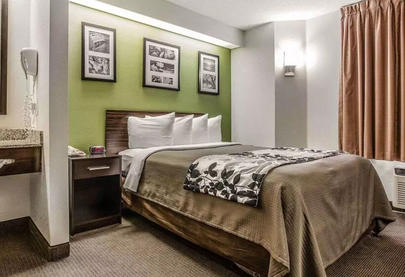 هتل Sleep Inn At Greenville Convention Cente