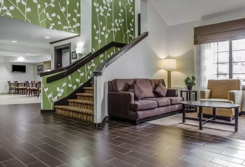 هتل Sleep Inn At Greenville Convention Cente