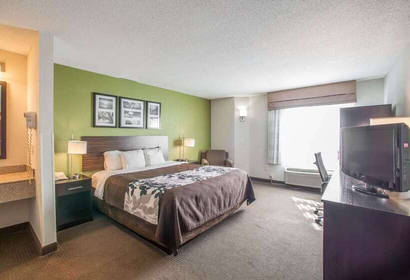 ホテル Sleep Inn Decatur I72
