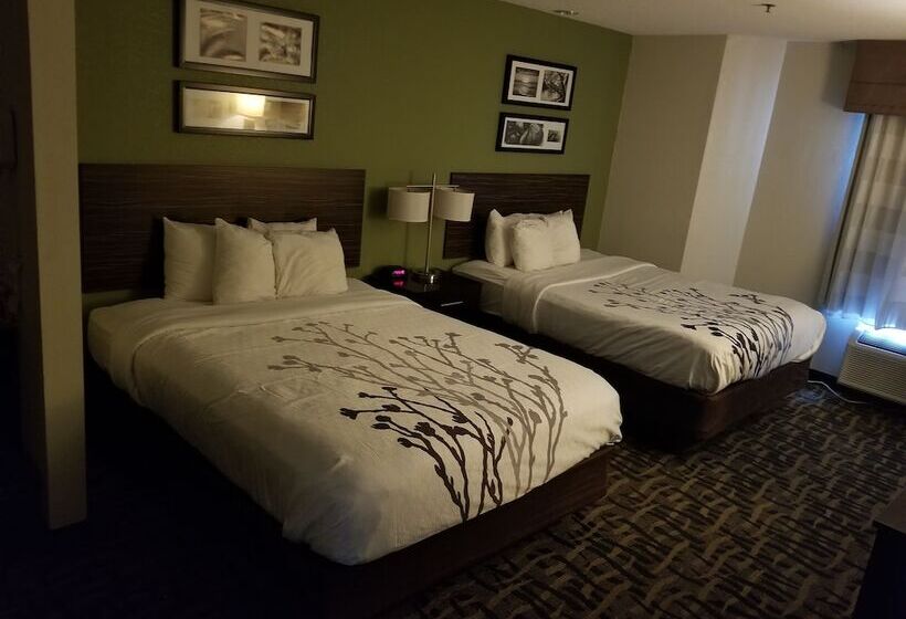 ホテル Sleep Inn Decatur I72