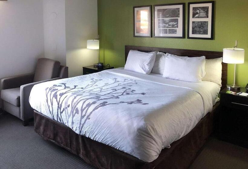 ホテル Sleep Inn