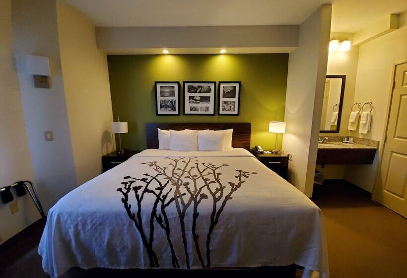 فندق Sleep Inn Richmond North