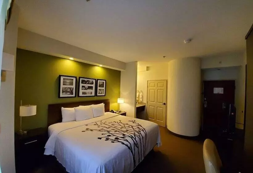 Отель Sleep Inn Richmond North