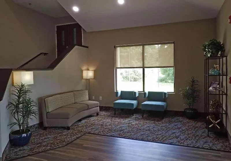 酒店 Sleep Inn & Suites