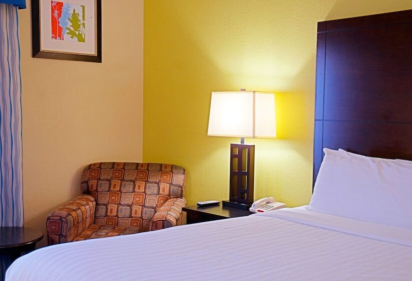 فندق Super 8 By Wyndham Irving/dfw Apt/north