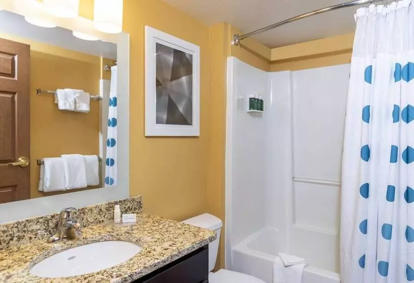 호텔 Towneplace Suites By Marriott East Lansing