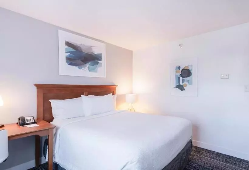 ホテル Towneplace Suites Fredericksburg