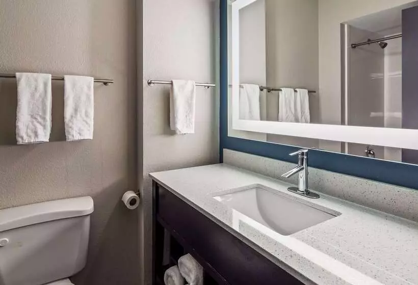 汽车旅馆 Best Western Rock Hill