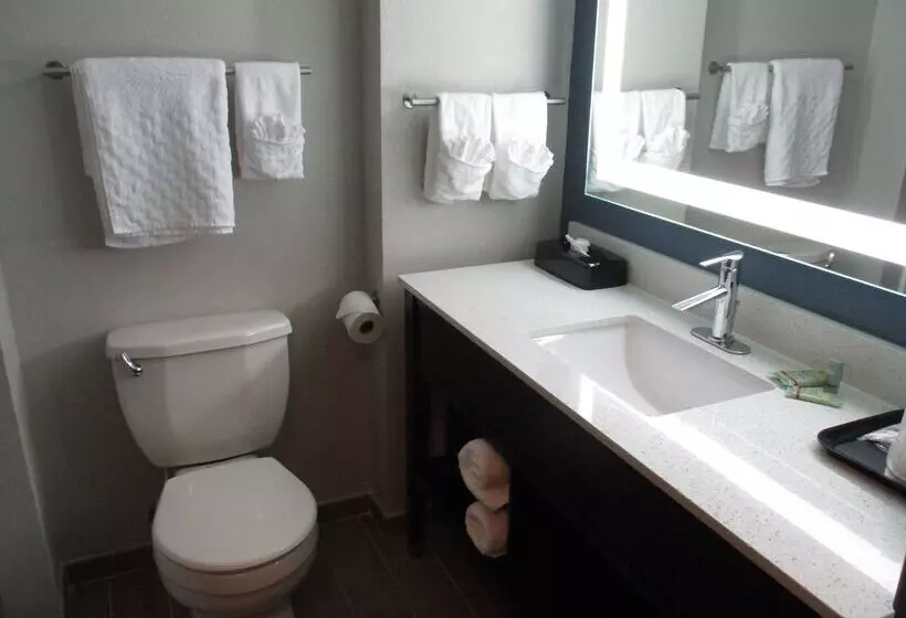 汽车旅馆 Best Western Rock Hill