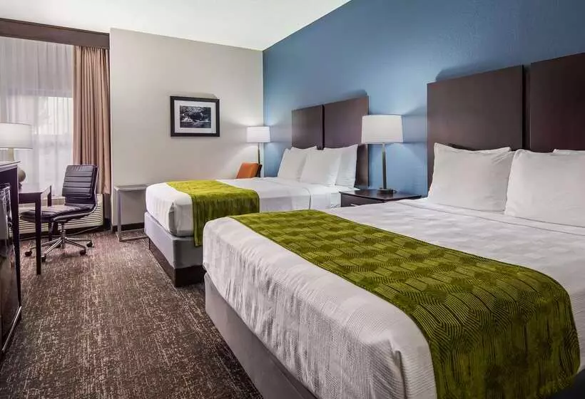 汽车旅馆 Best Western Rock Hill