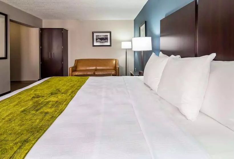 汽车旅馆 Best Western Rock Hill