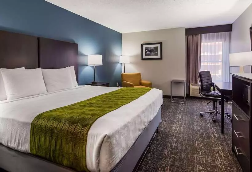 汽车旅馆 Best Western Rock Hill