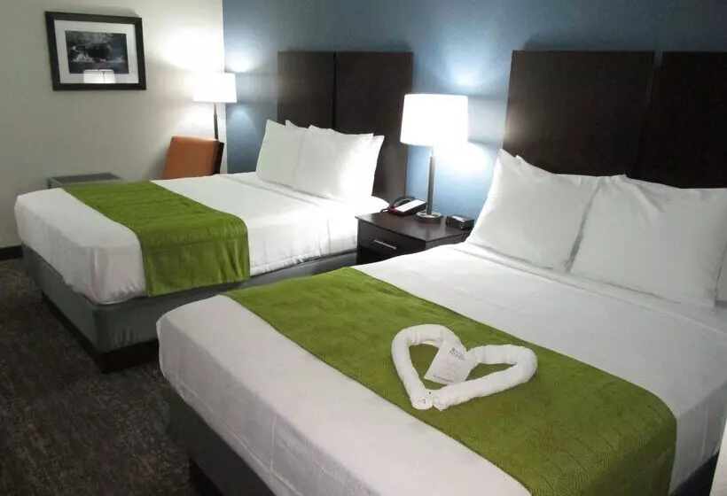 汽车旅馆 Best Western Rock Hill
