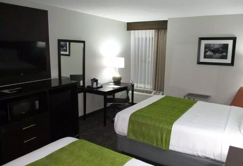 汽车旅馆 Best Western Rock Hill