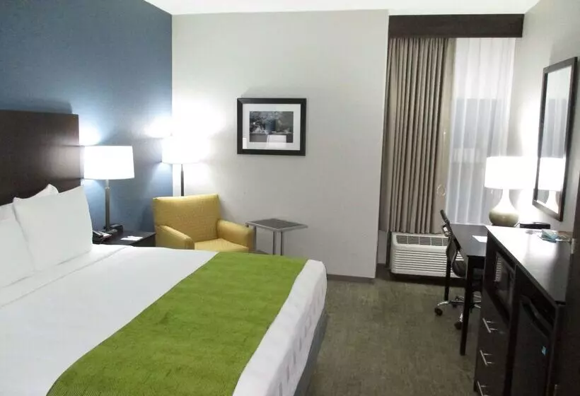 汽车旅馆 Best Western Rock Hill