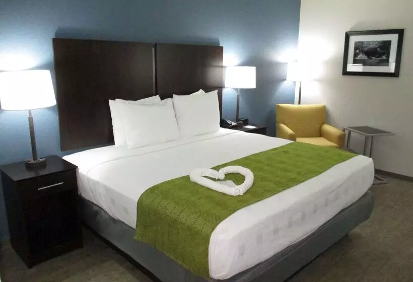 汽车旅馆 Best Western Rock Hill