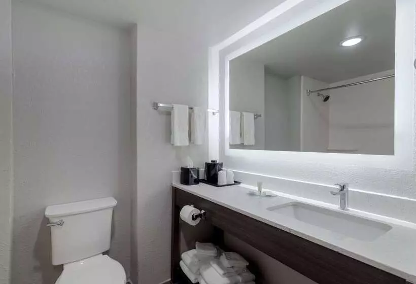 모텔 Clarion Pointe Mcdonough