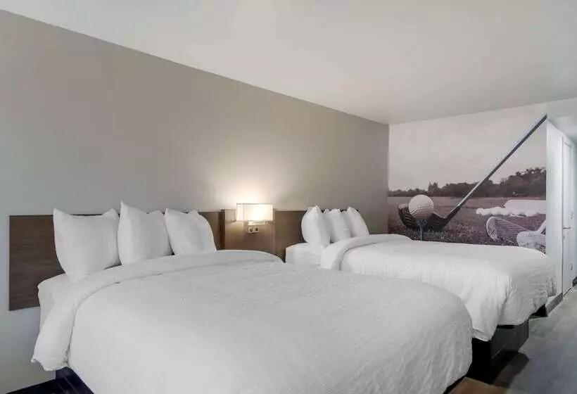 모텔 Clarion Pointe Mcdonough