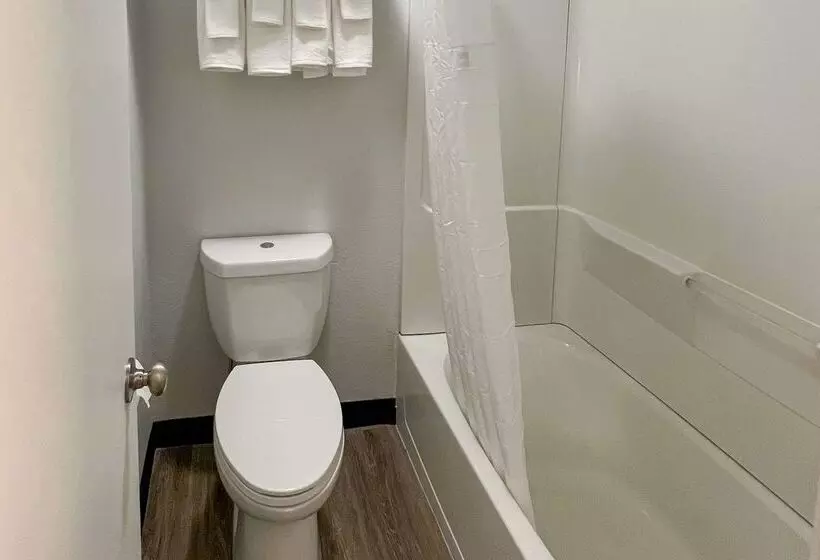 모텔 Quality Inn & Suites