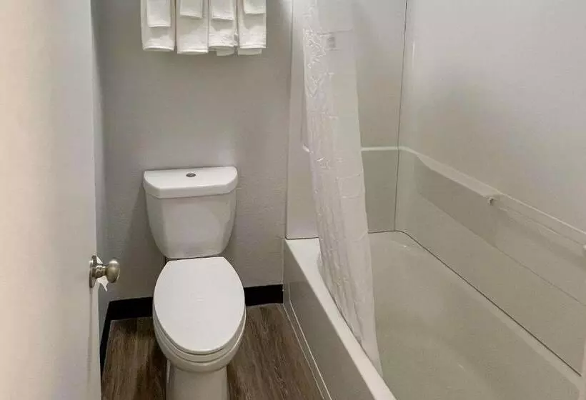 모텔 Quality Inn & Suites