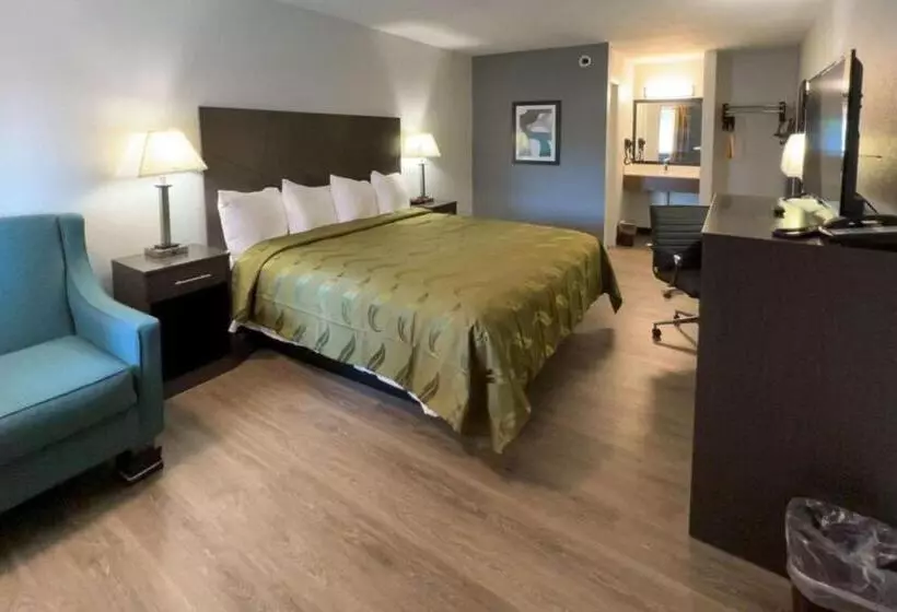 모텔 Quality Inn & Suites