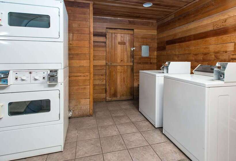 모텔 Super 8 By Wyndham Bishop