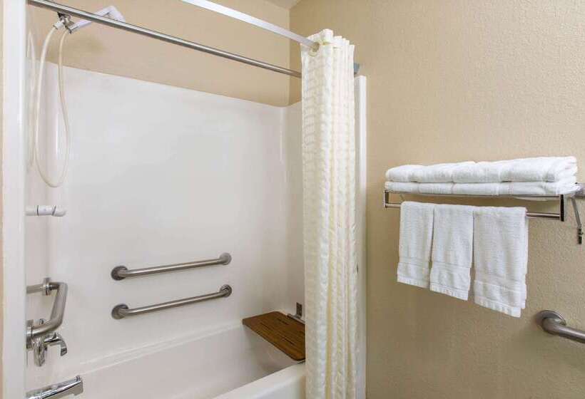 汽车旅馆 Super 8 By Wyndham Ottawa