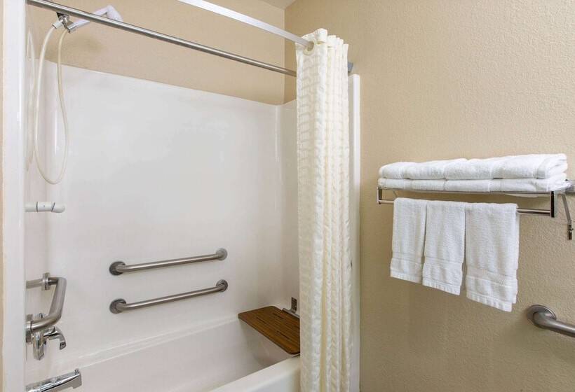 汽车旅馆 Super 8 By Wyndham Ottawa