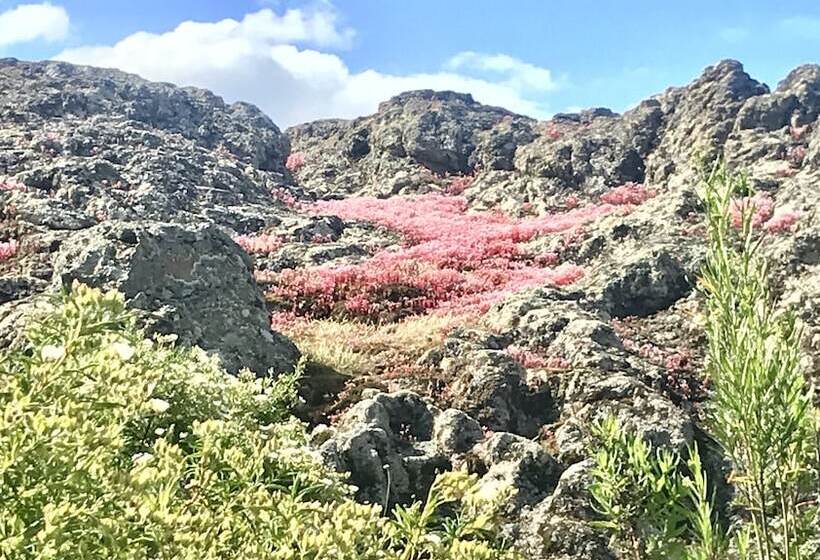 مبيت وإفطار A Muvrella