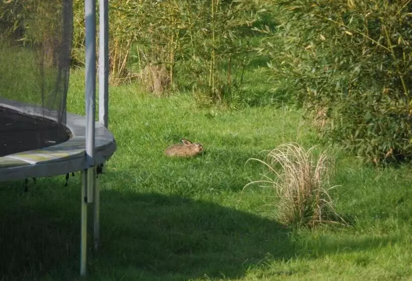 Aamiaismajoitus (B&B) Cafecouet Breizh