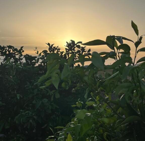 Bed and Breakfast Il Tramonto