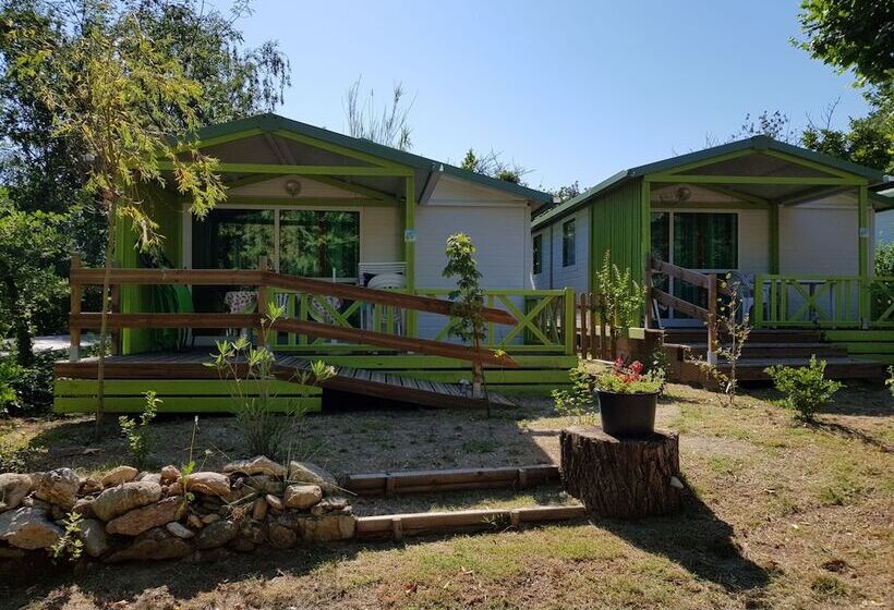 Отель Camping Bellevue