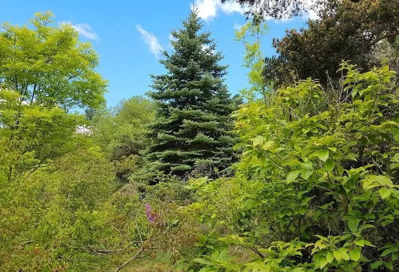 Hotelli Camping Le P Tit Bonheur