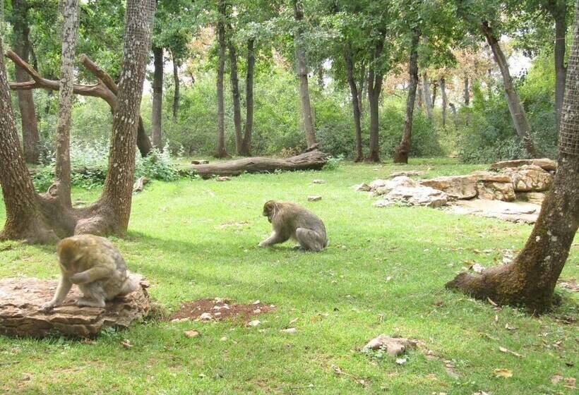 酒店 Camping Moulin De Chaules