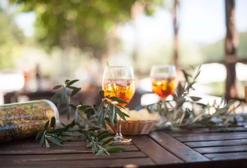 Maaseutuhotelli Agriturismo Castiglioncello