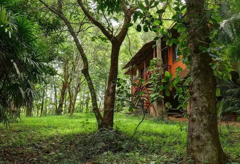 Hotelli Stream Valley Cottages