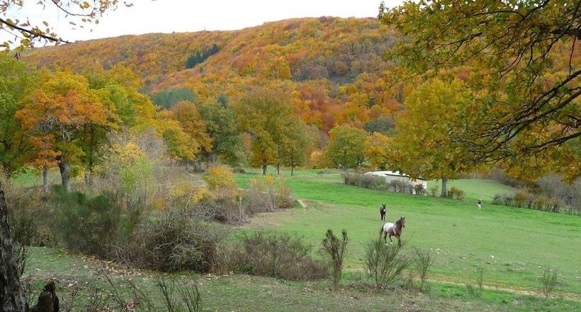 Gite Le Moulin Berthon